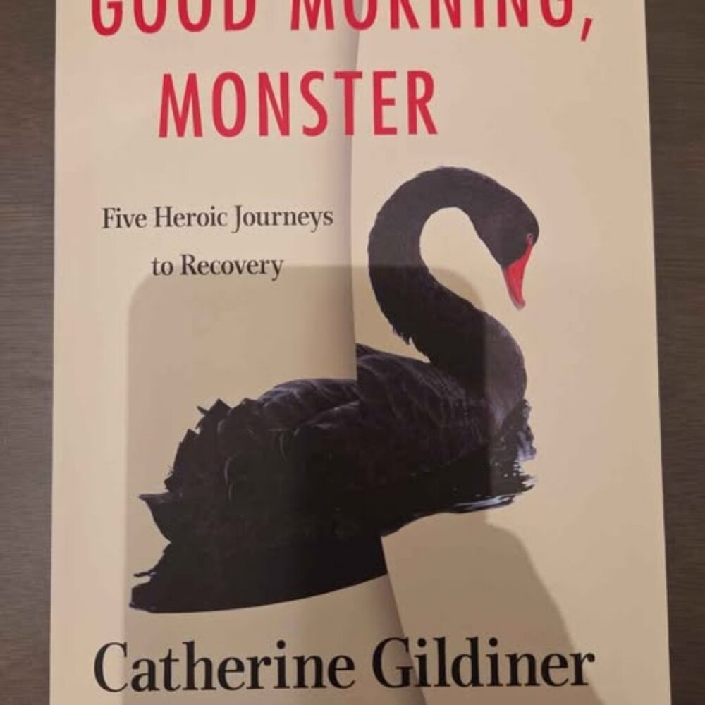 Good Morning Monster book